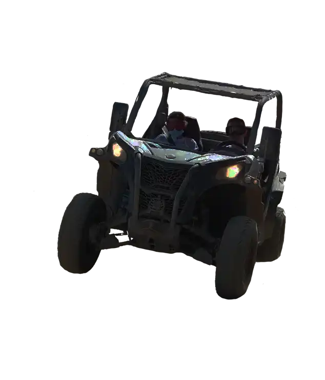Buggy