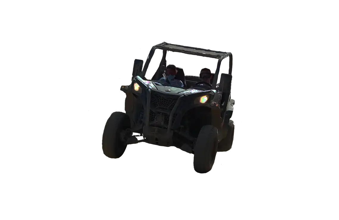 Buggy