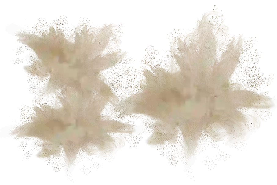 Dust Explosion